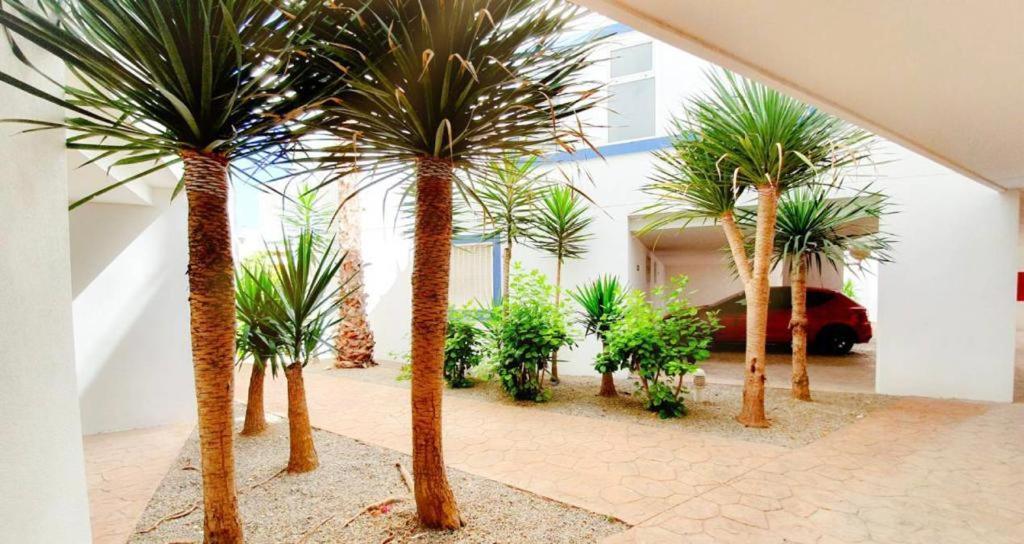 Apartment With Sea Views In Las Terrazas/Playa Flamenca Dehesa de Campoamor  المظهر الخارجي الصورة