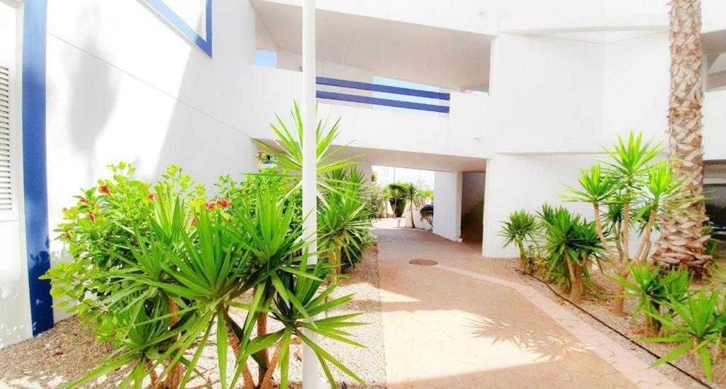 Apartment With Sea Views In Las Terrazas/Playa Flamenca Dehesa de Campoamor  المظهر الخارجي الصورة